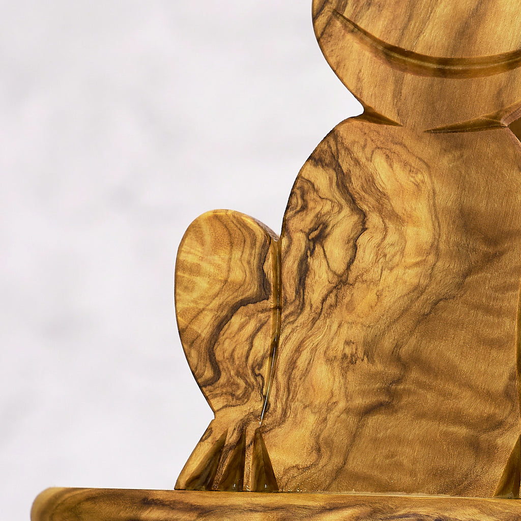 Frog napkin holder